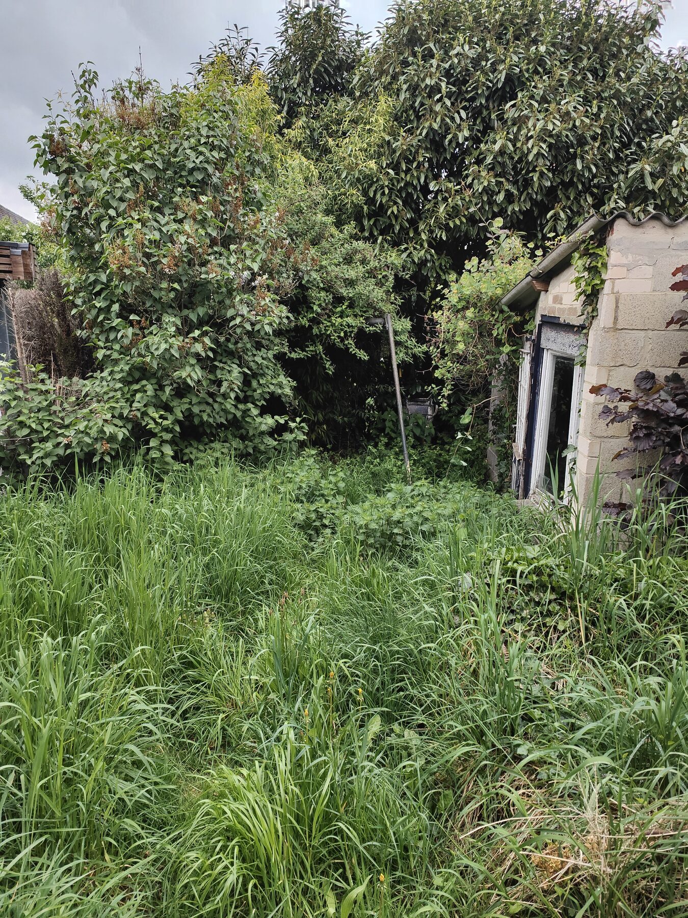 entretien jardin