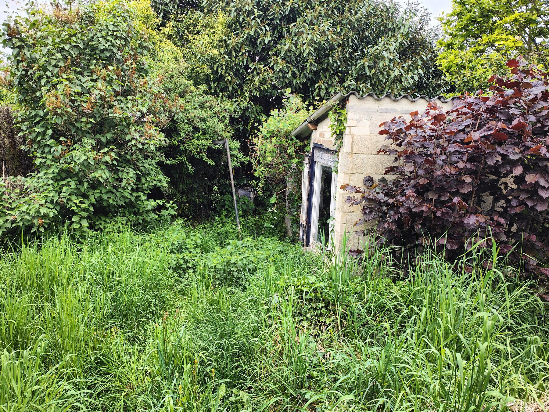 entretien jardin