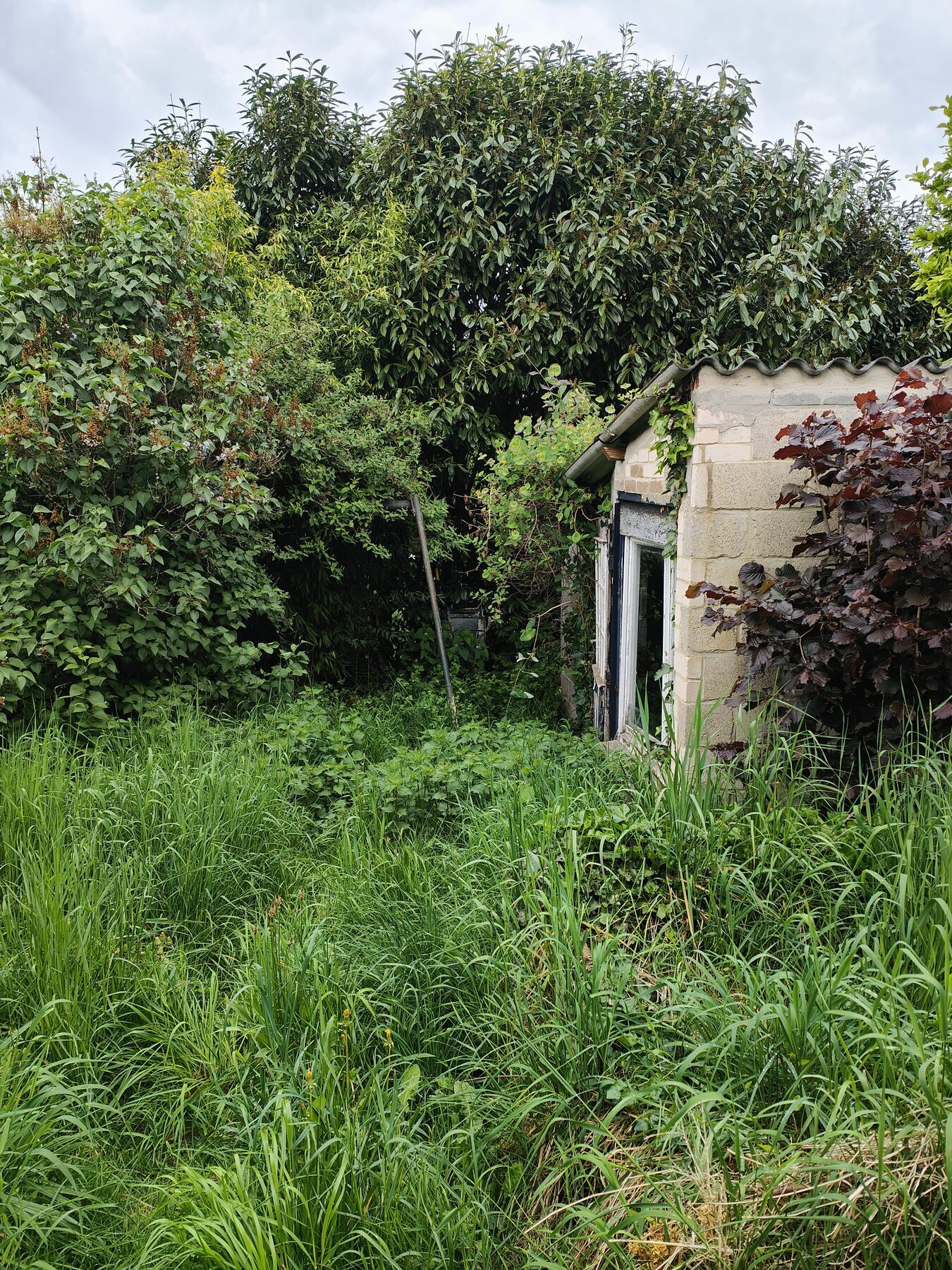 entretien jardin