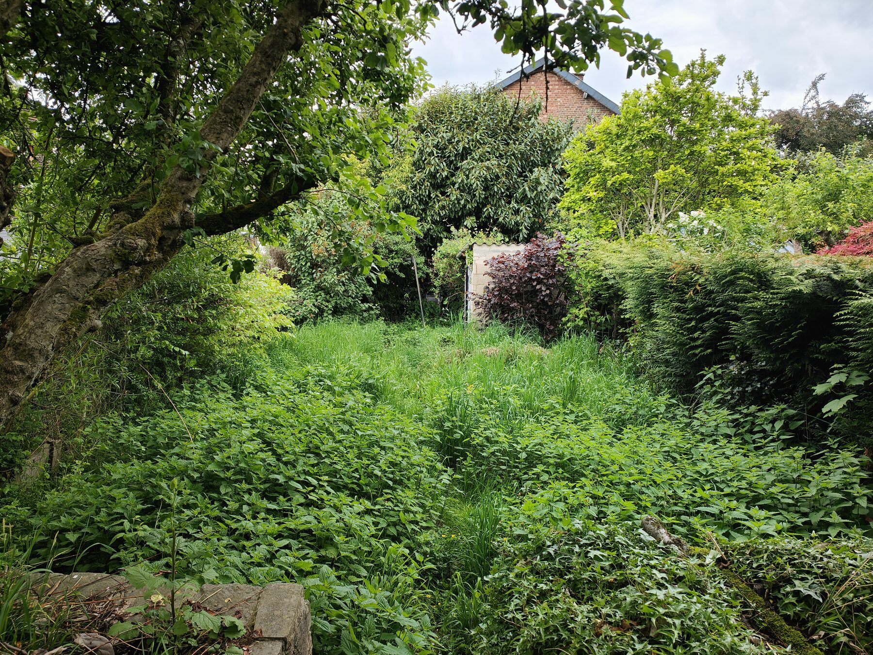 entretien jardin