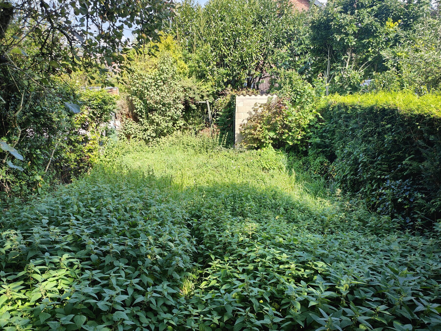 entretien jardin