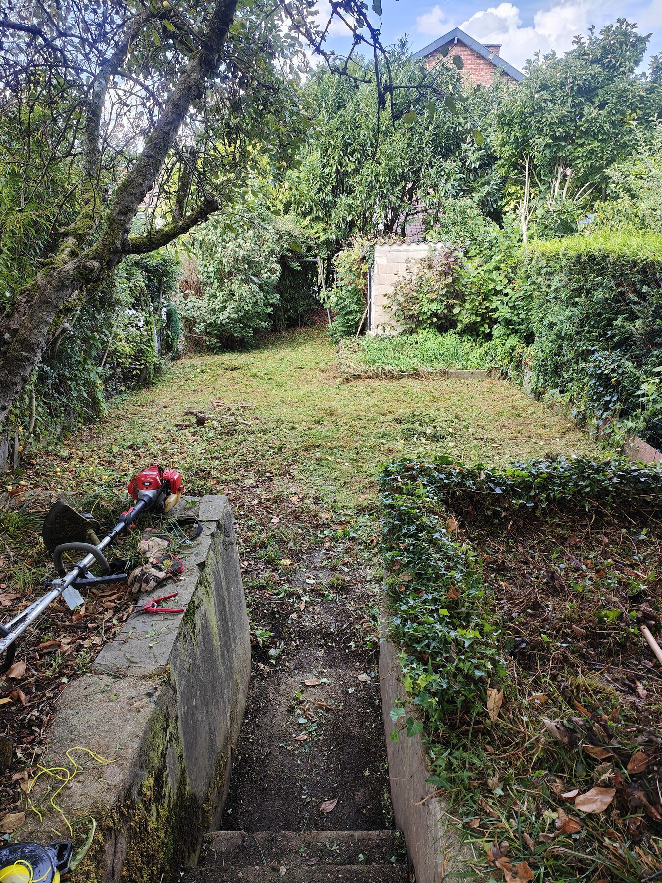 entretien jardin