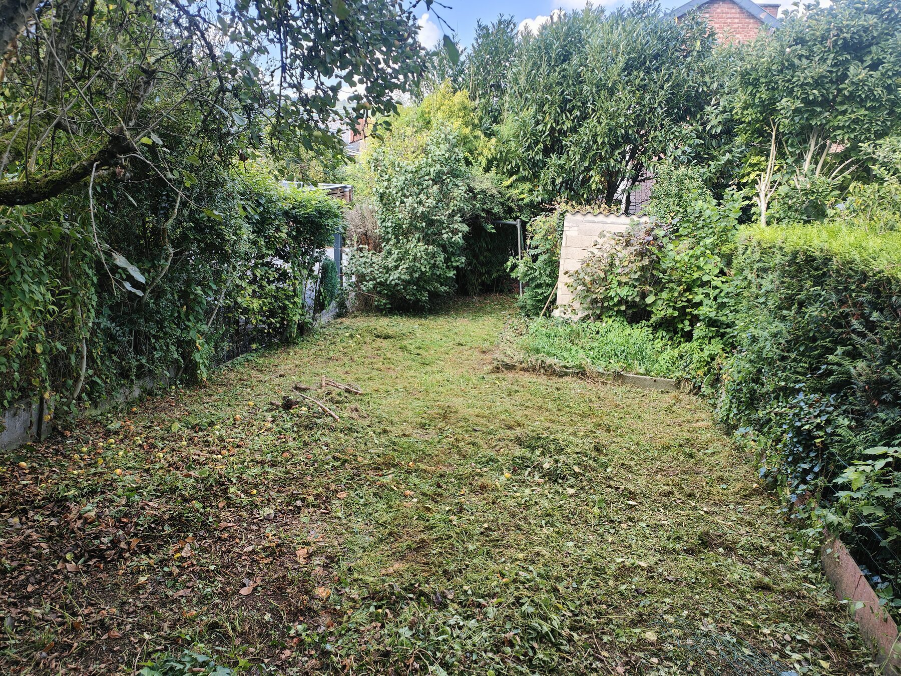 entretien jardin