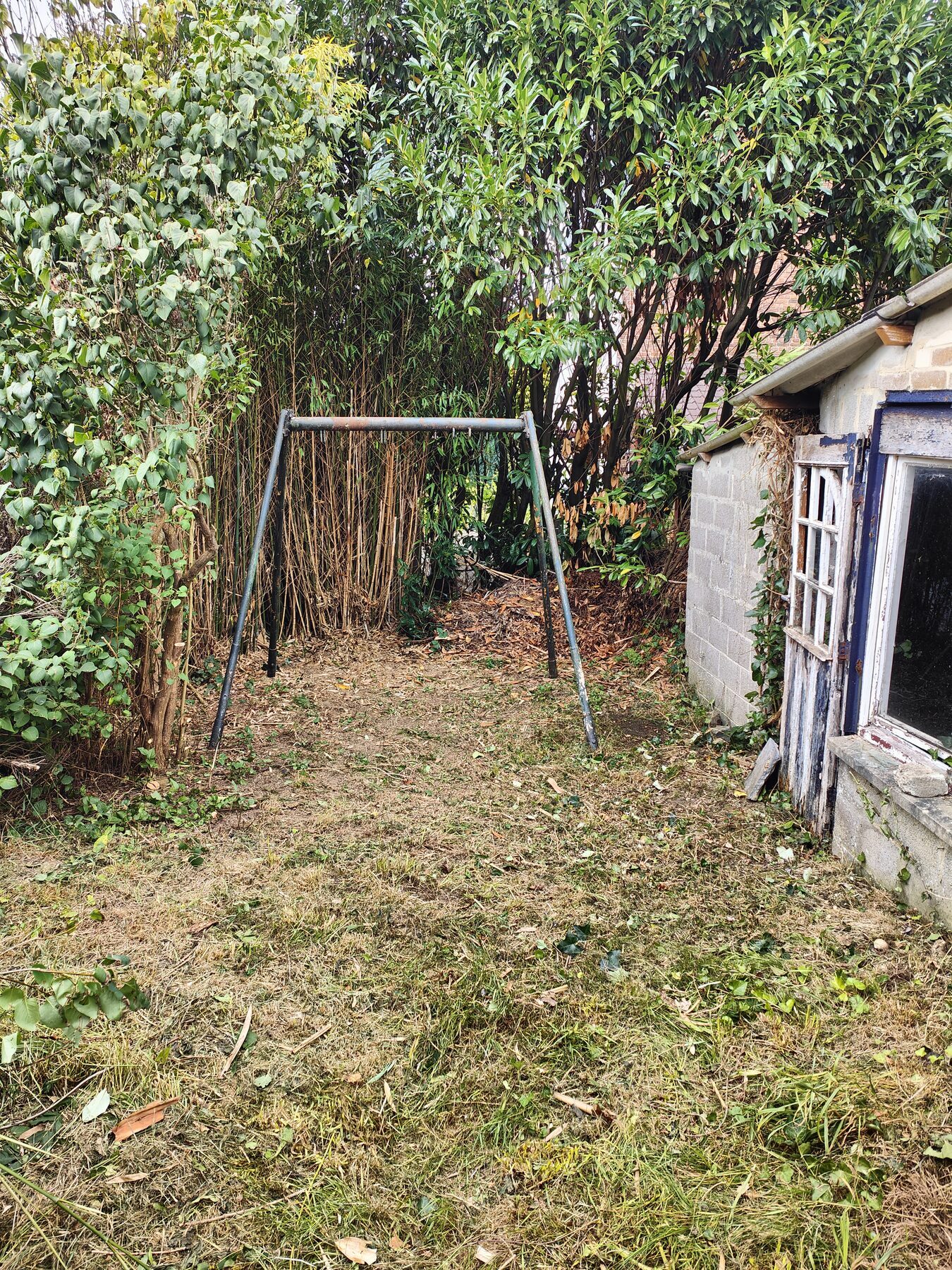 entretien jardin
