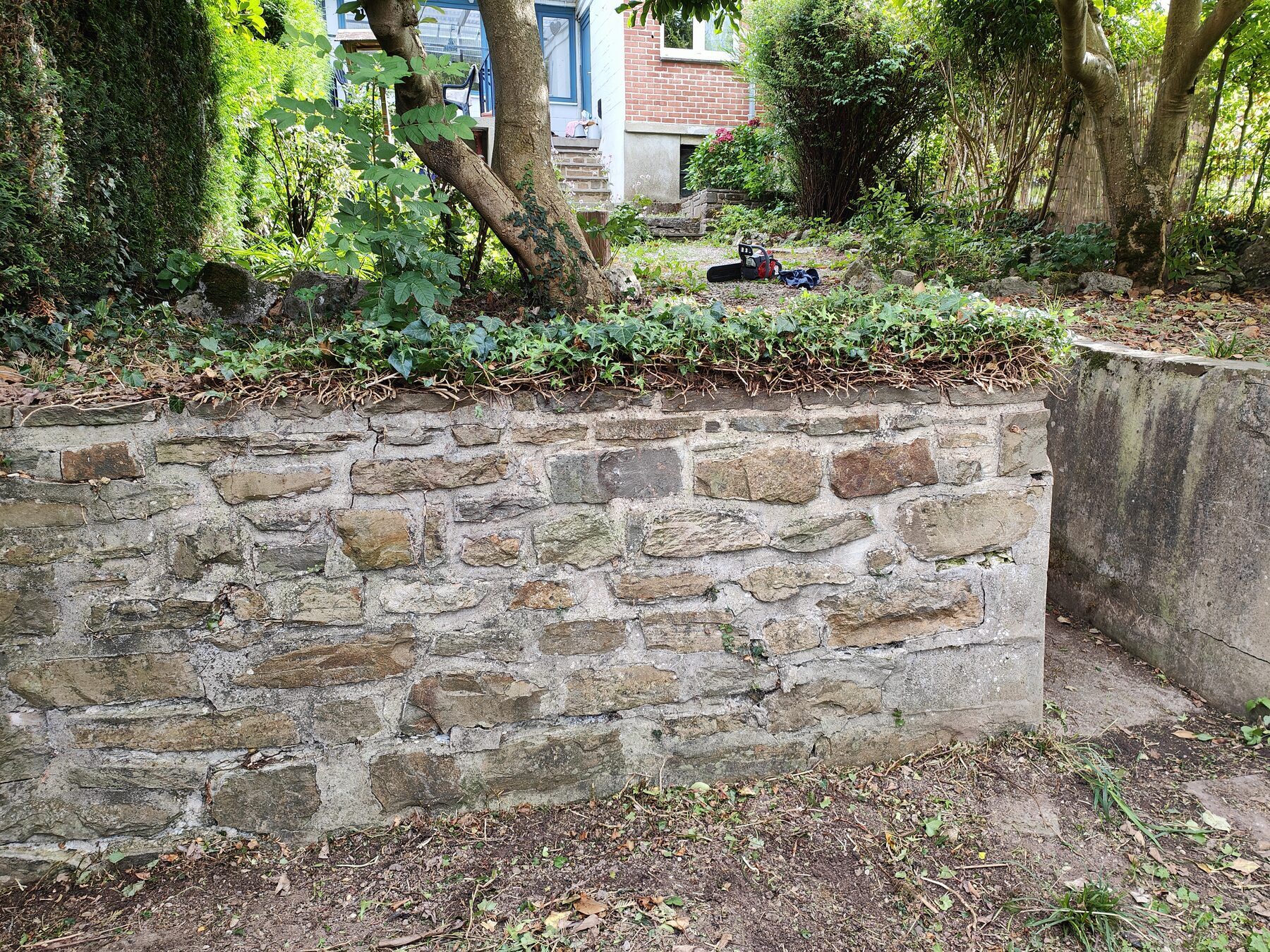 entretien jardin